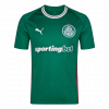 maillot SE Palmeiras 2026 domicile vert