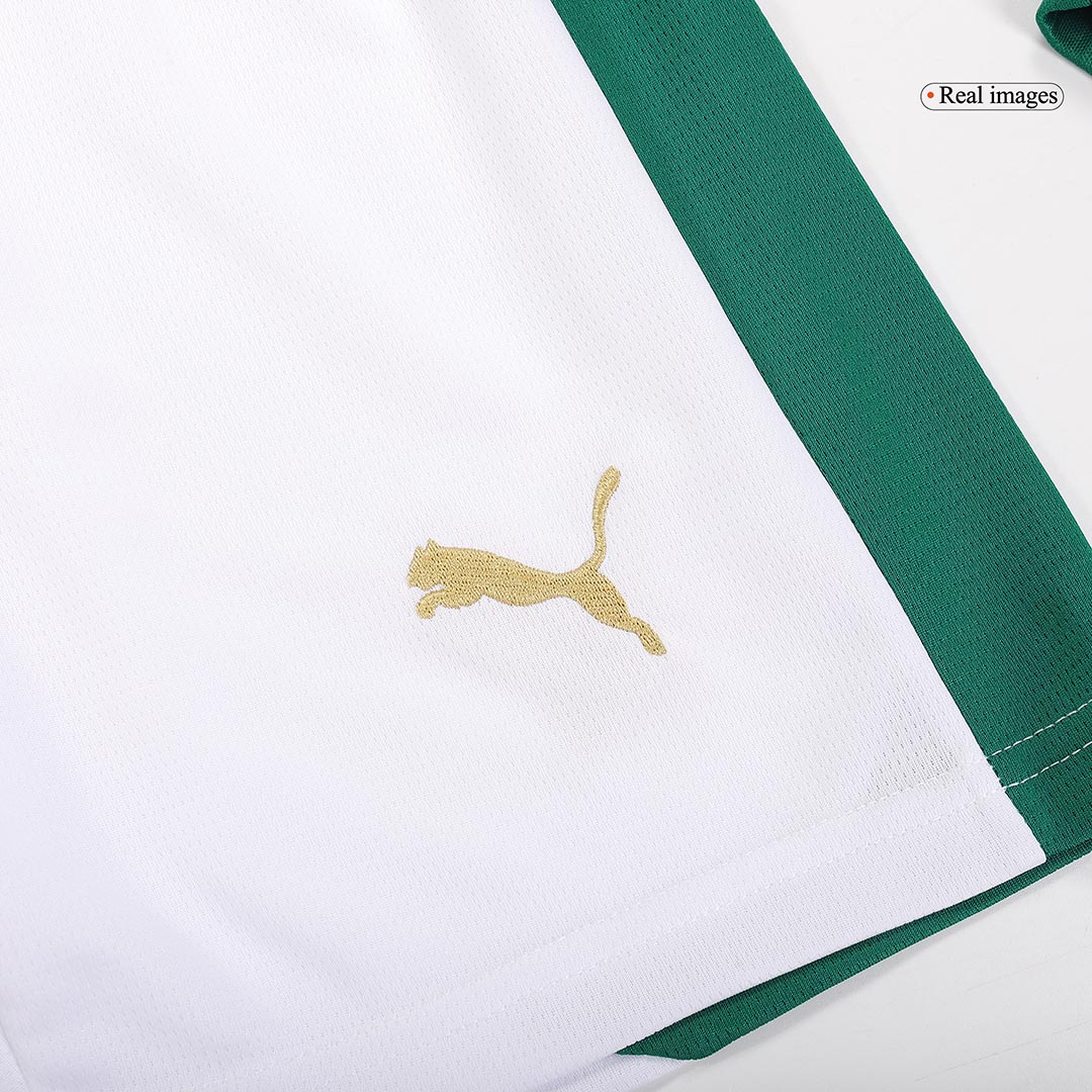kit enfant SE Palmeiras 2024/25 domicile vert