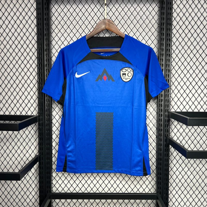 Slovaquie maillot foot 2024/25 Maillot