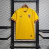 maillot Roumanie maillot foot 2023/24 domicile
