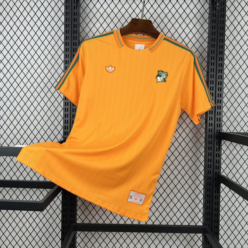 Cameroun maillot foot 2026/27 Maillot