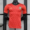 maillot Maroc maillot foot 2023/24 domicile