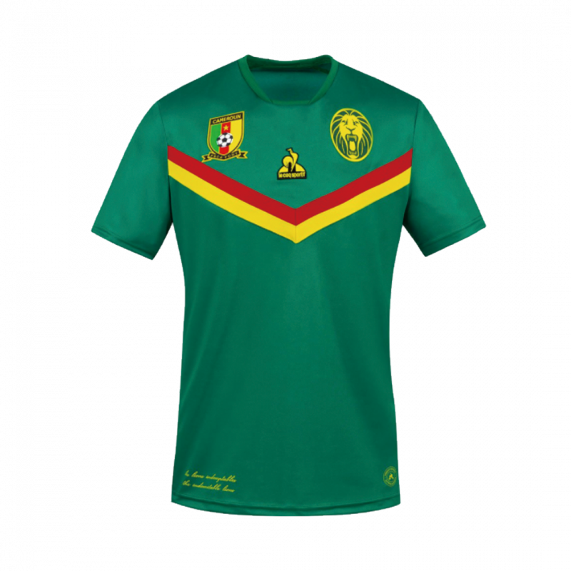 maillot Cameroon 2021 domicile vert