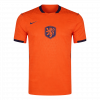 maillot Netherlands 2026 domicile orange Player Version