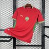 maillot Maroc Maillot Foot 2026/27 domicile