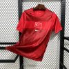 maillot Turquie maillot foot 2026/27 domicile