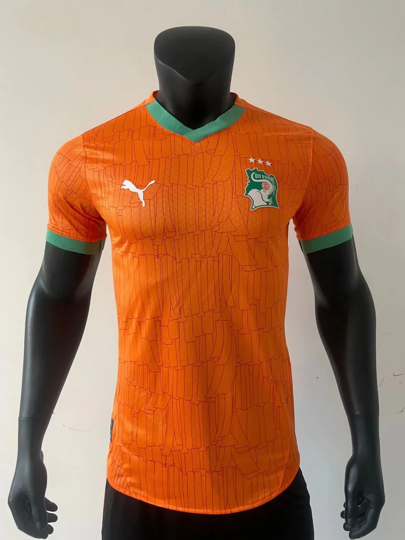maillot Cote d'Ivoire maillot 2024/25 domicile