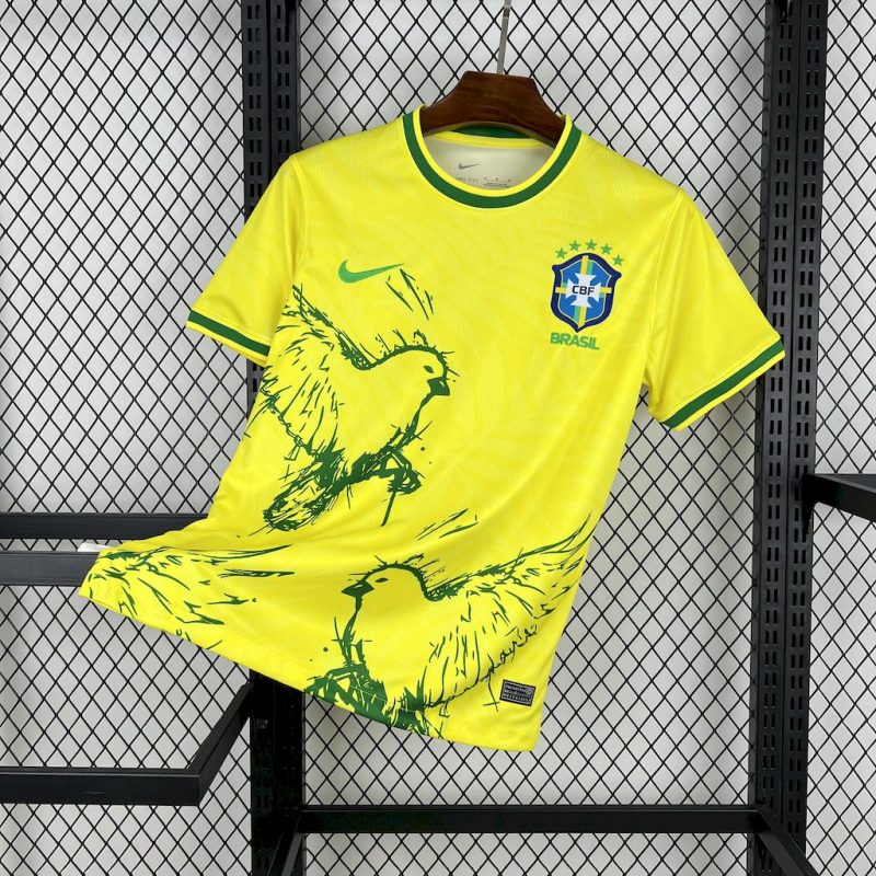 Brazil 2025/26 Maillot concept