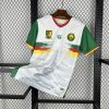 maillot Cameroun maillot foot 2025/26 domicile