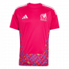 Mexico 2026 Goalkeeper Pink Goalkeeper Jersey