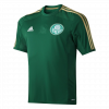 SE Palmeiras 2014/15 Retro Jersey