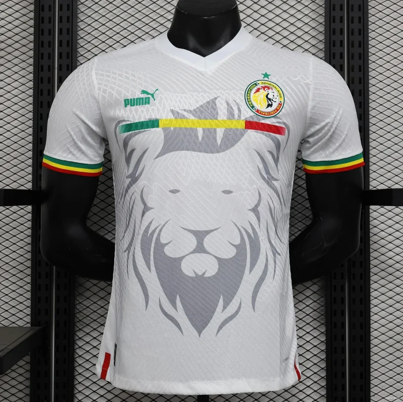 Senegal 2023/24 Jersey
