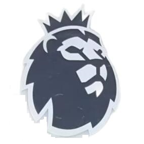 badge Premier League 23/24